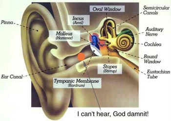 Can't hear