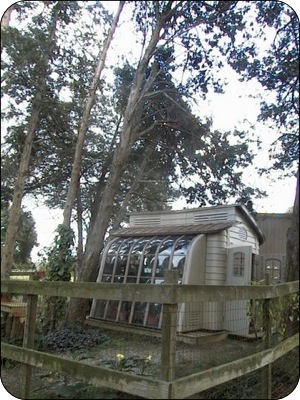 Mom's greenhouse