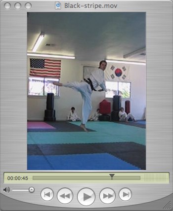 Black Stripe free sparring pattern