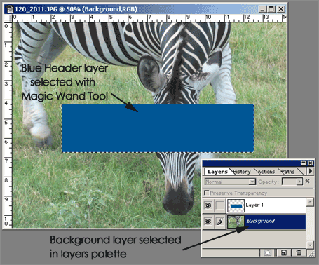 Select your background layer